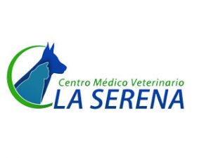 vet